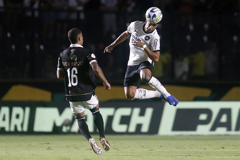 Motivo Da Queda De Rendimento Do Botafogo Revelado Portal Do Botafoguense