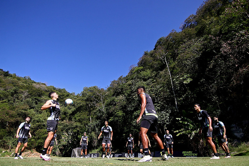 Botafogo já montou lista os reforços que pode contratar nessa